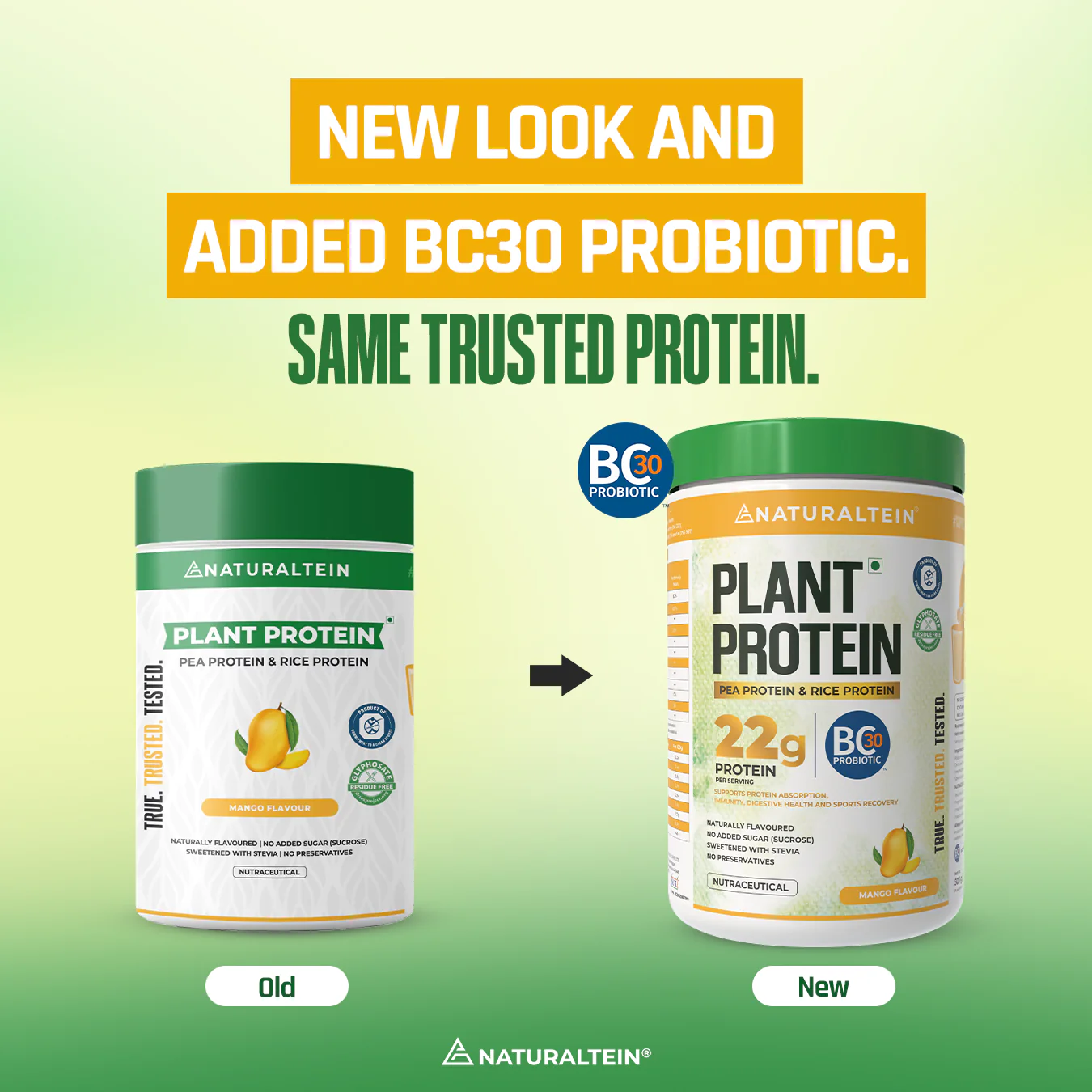 100% Natural Plant Protein - Image 21