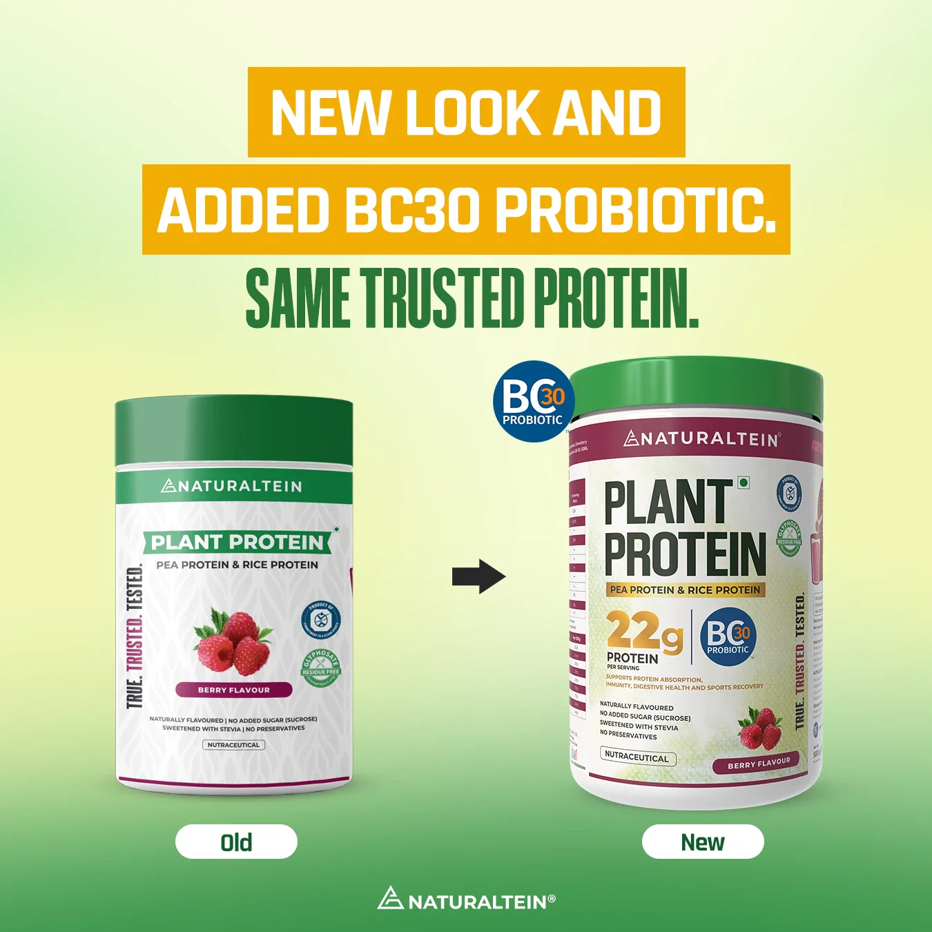 100% Natural Plant Protein - Image 27