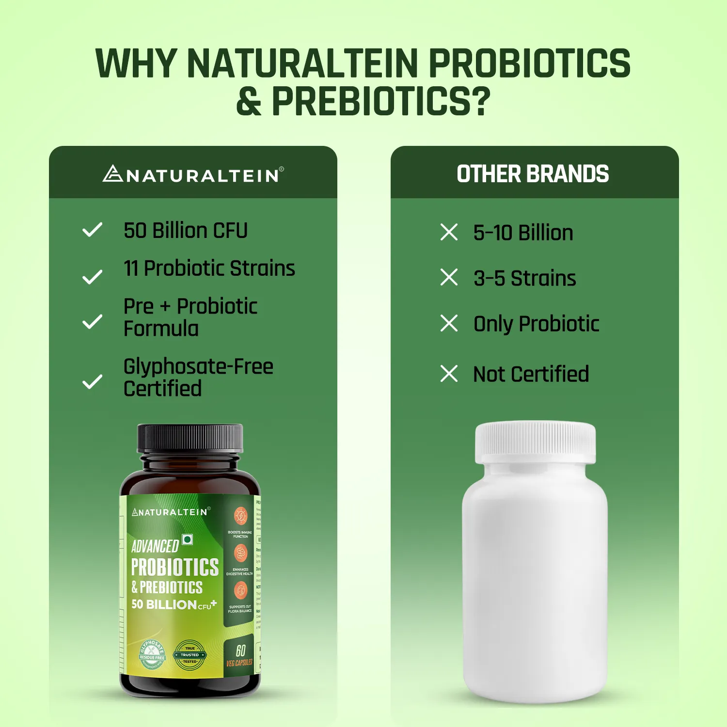 Probiotics & Prebiotics - Image 8