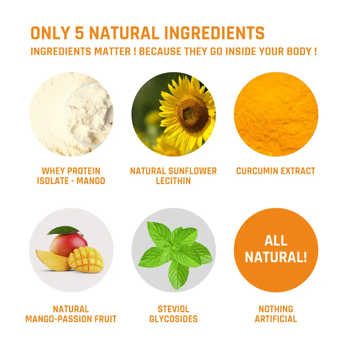 100% Natural Whey Protein Isolate - Image 25